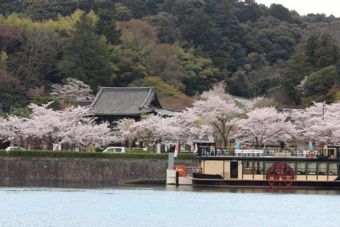 🏯 오노산 아미다지 (오노야마 아미다데라) 이미지 7